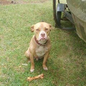 Meet your Posher, Ken